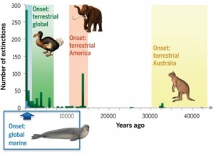 Global extinction