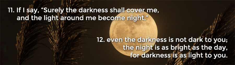 11 If I say, “Surely the darkness shall cover me, and the light around me become night,” 12 even the darkness is not dark to you; the night is as bright as the day, for darkness is as light to you.