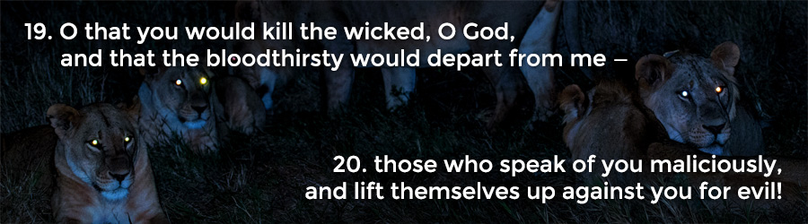 19 O that you would kill the wicked, O God, and that the bloodthirsty would depart from me — 20 those who speak of you maliciously, and lift themselves up against you for evil!