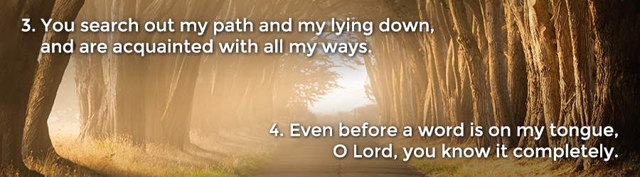 3 You search out my path and my lying down, and are acquainted with all my ways. 4 Even before a word is on my tongue, O Lord, you know it completely.